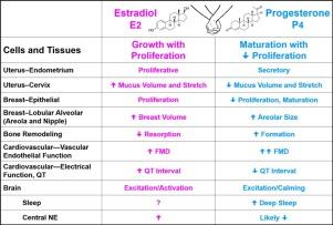 Women’s reproductive system as balanced estradiol and progesterone actions—A revolutionary, paradigm-shifting concept in women’s health