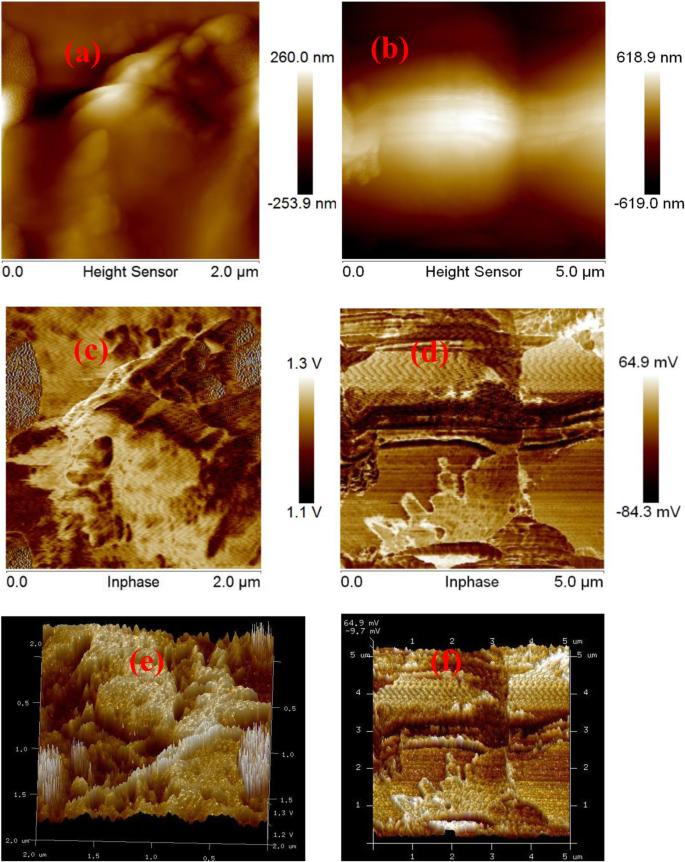 Interfacial assessment of degraded amorphous silicon module using scanning probe microscopy