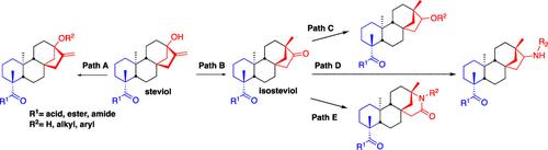 Diversity-Oriented Library Synthesis from Steviol and Isosteviol-Derived Scaffolds