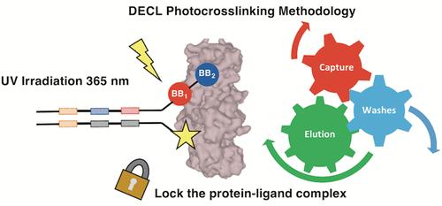 Critical Evaluation of Photo-cross-linking Parameters for the Implementation of Efficient DNA-Encoded Chemical Library Selections