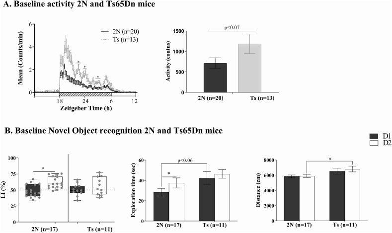 Suprachiasmatic lesions restore object recognition in down syndrome model mice