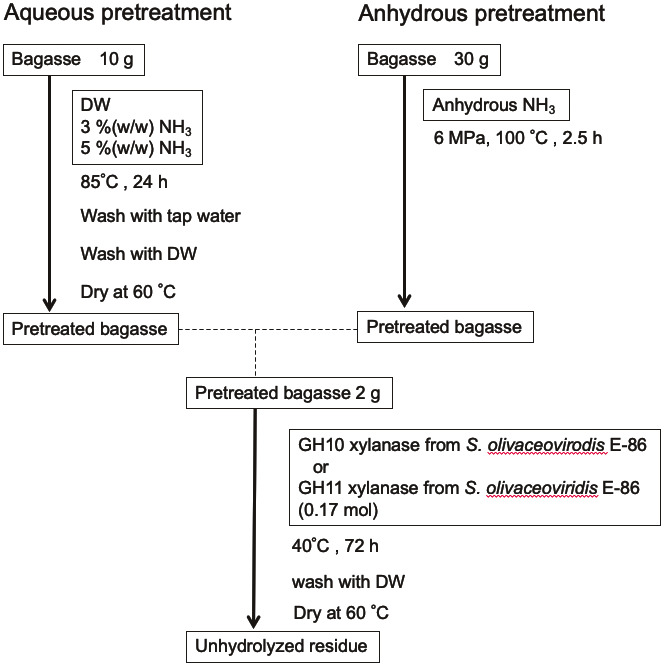 Evaluation of Ammonia Pretreatment for Enzymatic Hydrolysis of Sugarcane Bagasse to Recover Xylooligosaccharides.