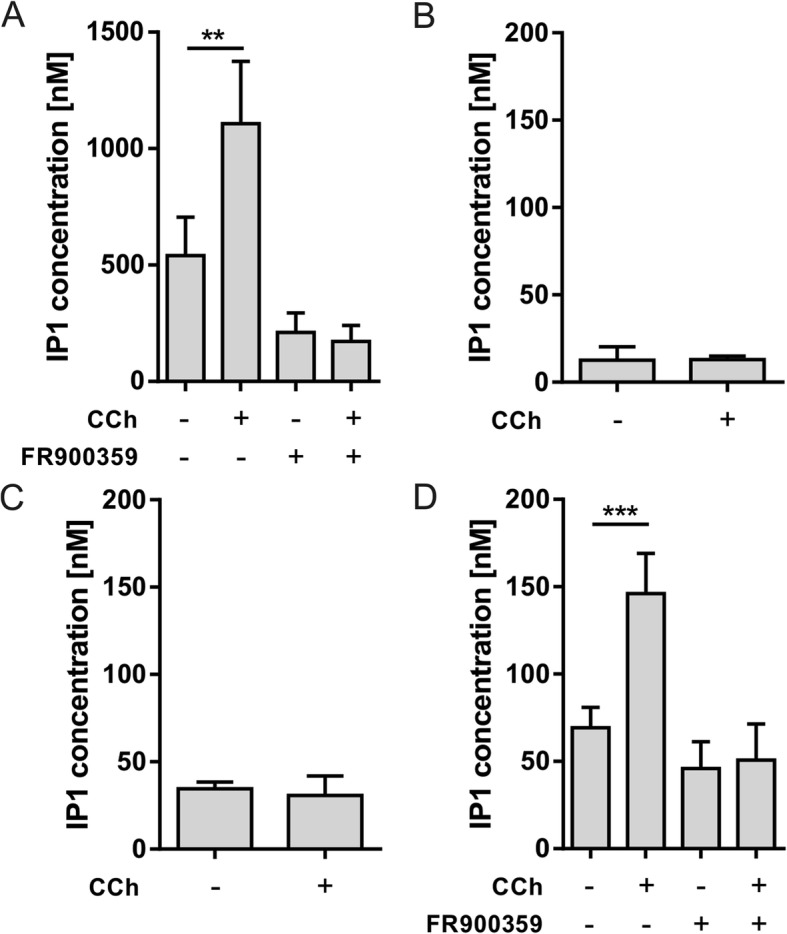 Exploring G Protein-Coupled Receptor Signaling in Primary Pancreatic Islets.