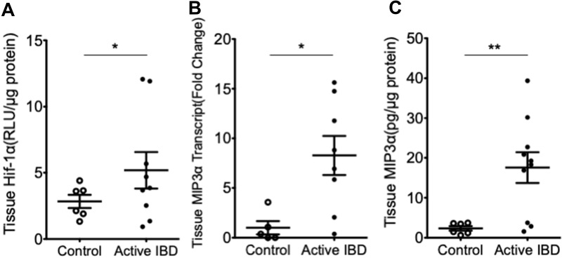 Markers of Hypoxia Correlate with Histologic and Endoscopic Severity of Colitis in Inflammatory Bowel Disease.