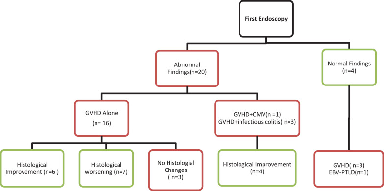 Repeat Endoscopy Affects Patient Management in Gastrointestinal Graft-<i>Versus</i>-Host Disease.