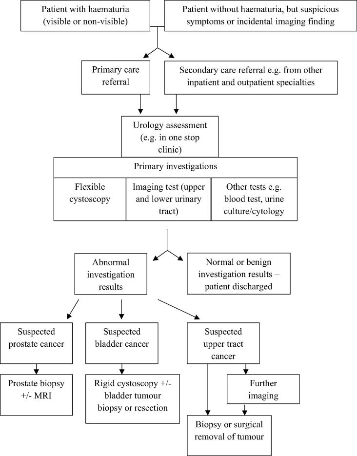 IDENTIFY: The investigation and detection of urological neoplasia in patients referred with suspected urinary tract cancer: A multicentre cohort study