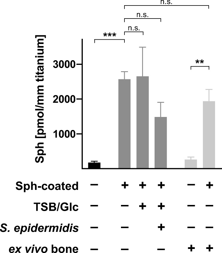 Sphingosine is able to prevent and eliminate Staphylococcus epidermidis biofilm formation on different orthopedic implant materials in vitro.