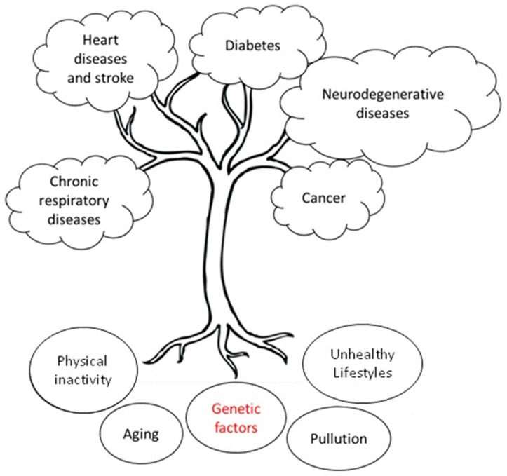 Precision Medicine in Non-Communicable Diseases.