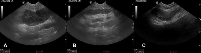 <i>Salmonella</i> Mesenteric Lymphadenitis Causing Septic Peritonitis in Two Dogs.