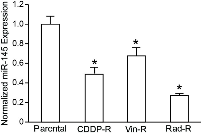 Overexpression of microRNA-145 inhibits tumorigenesis through autophagy in chemotherapy and radiation resistant neuroblastoma cells.