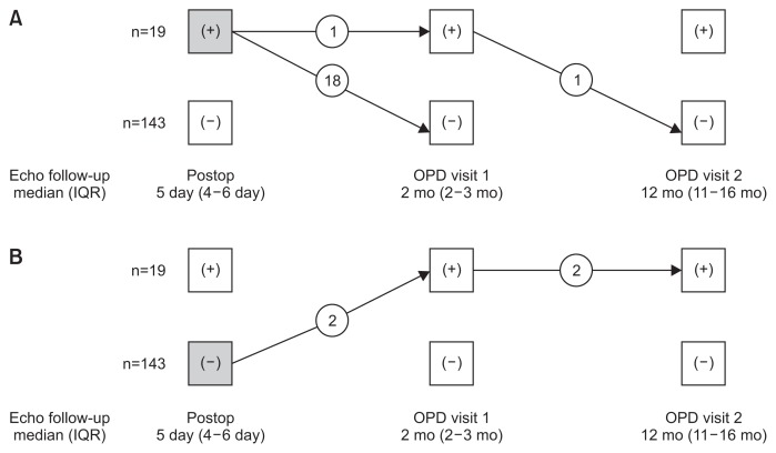 Does Early Drain Removal Affect Postoperative Pericardial Effusion after Congenital Cardiac Surgery?