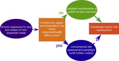 Threshold in the toxicology of metals: Challenges and pitfalls of the concept