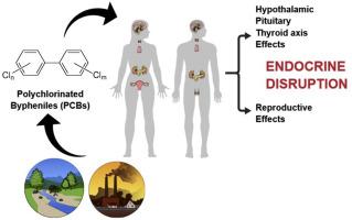 Endocrine-disrupting mechanisms of polychlorinated biphenyls