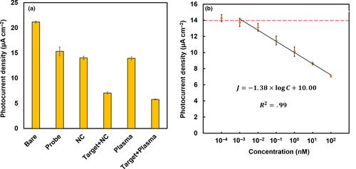 Surface modification of TiO2 for photoelectrochemical DNA biosensors