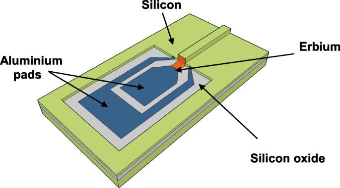 Integrated Er/Si Schottky Photodetectors on the end facet of optical waveguides