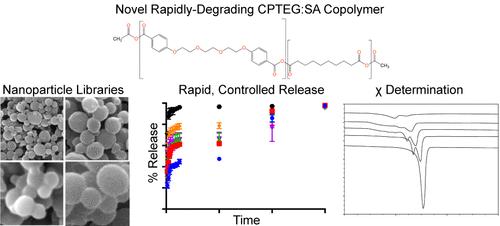 High-Throughput Synthesis and Screening of Rapidly Degrading Polyanhydride Nanoparticles