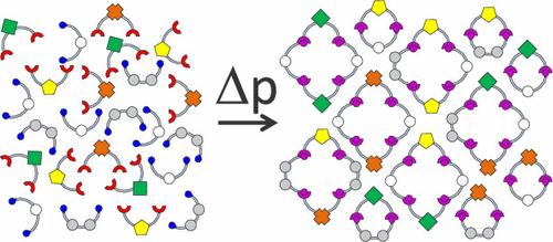 Static Combinatorial Chemistry: A High-Pressure Approach to the Synthesis of Macrocyclic Benzoamide Libraries