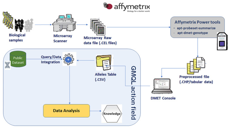 DMET<sup>TM</sup> Genotyping: Tools for Biomarkers Discovery in the Era of Precision Medicine.