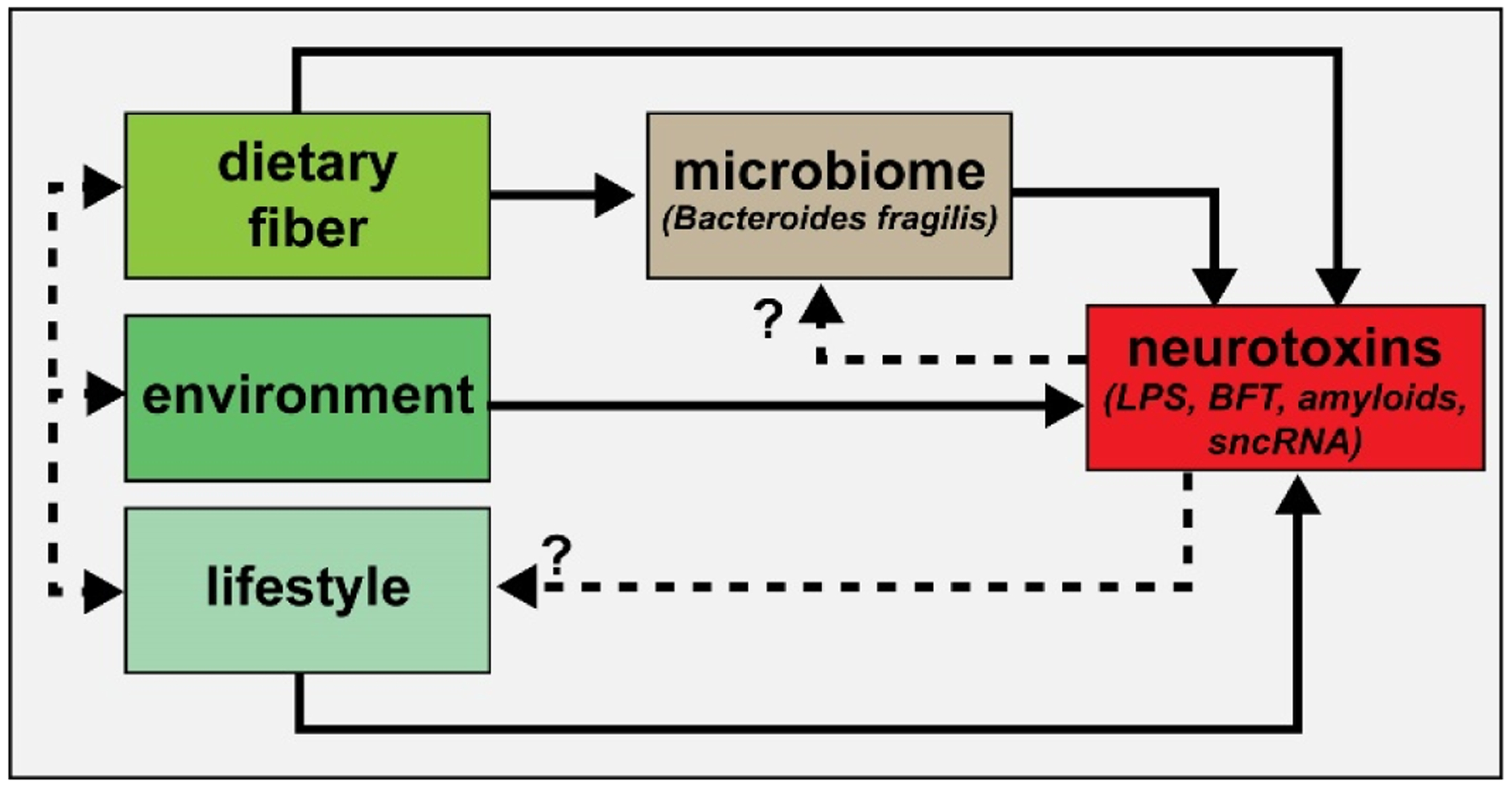 Human gastrointestinal (GI) tract microbiome-derived pro-inflammatory neurotoxins from <i>Bacteroides fragilis</i>: Effects of low fiber diets and environmental and lifestyle factors.