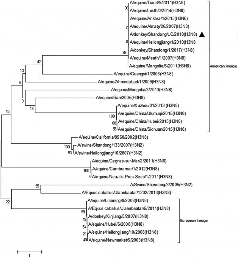 Detection of the epidemic of the H3N8 subtype of the equine influenza virus in large-scale donkey farms.