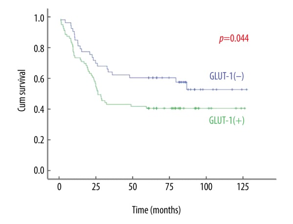 Glucose Transporter-1 (GLUT-1) Expression is Associated with Tumor Size and Poor Prognosis in Locally Advanced Gastric Cancer.