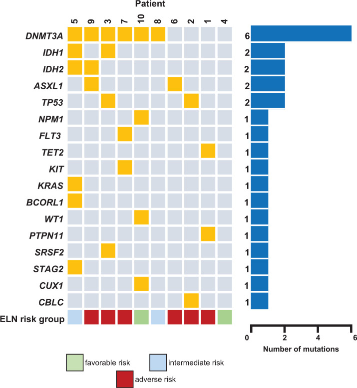 Timed sequential salvage chemotherapy for relapsed or refractory acute myeloid leukemia.