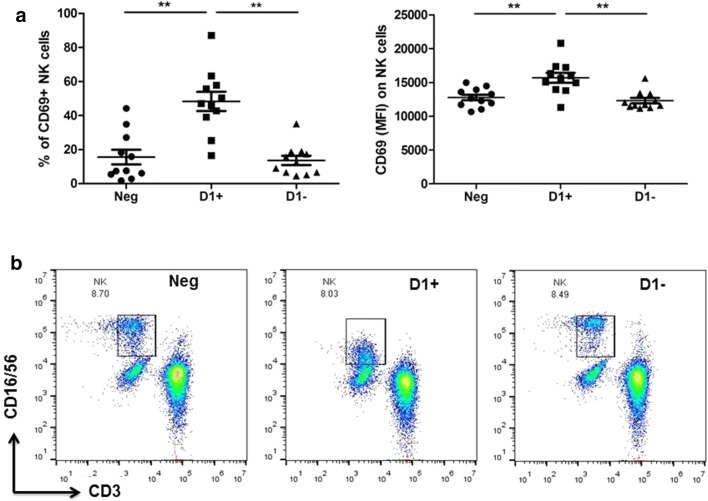 Anti-domain 1 β2 glycoprotein antibodies increase expression of tissue factor on monocytes and activate NK Cells and CD8+ cells in vitro.