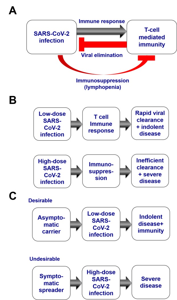 Coronavirus infections: Epidemiological, clinical and immunological features and hypotheses.