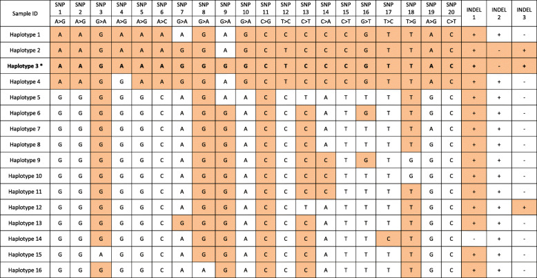 Polymorphisms in the <i>CTLA4</i> promoter sequence are associated with canine hypoadrenocorticism.