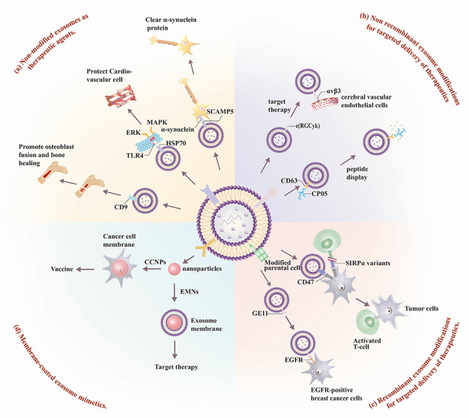 Clinical applications of exosome membrane proteins.