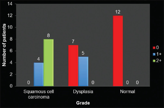 Myofibroblasts as important diagnostic and prognostic indicators of oral squamous cell carcinoma: An immunohistochemical study in normal oral mucosa, epithelial dysplasia, and oral squamous cell carcinoma.