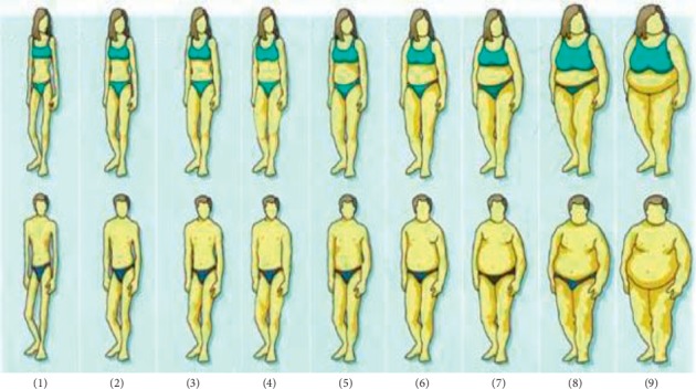 Body Weight, Obesity Perception, and Actions to Achieve Desired Weight among Rural and Urban Ghanaian Adults.