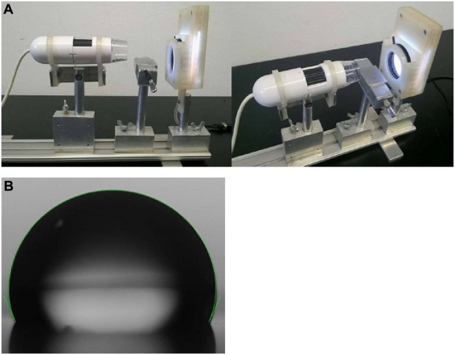 Development and Study of Biocompatible Polyurethane-Based Polymer-Metallic Nanocomposites.