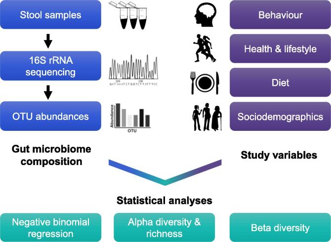 Gut microbiome composition and diversity are related to human personality traits