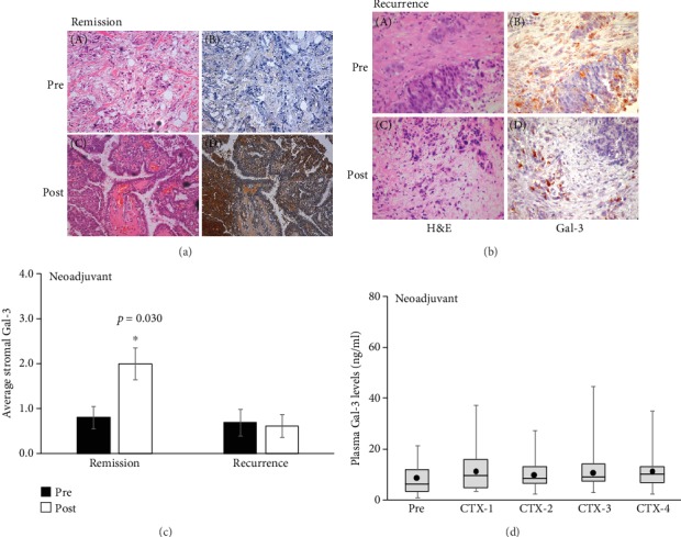 Elevated Soluble Galectin-3 as a Marker of Chemotherapy Efficacy in Breast Cancer Patients: A Prospective Study.