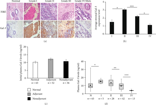 Elevated Soluble Galectin-3 as a Marker of Chemotherapy Efficacy in Breast Cancer Patients: A Prospective Study.