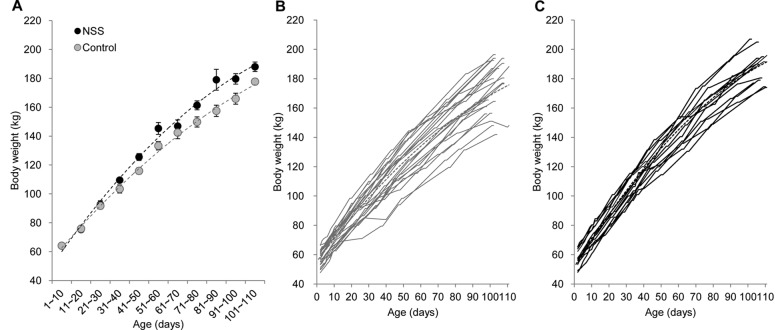 The effects of a nutritional supplement containing salacinol in neonatal Thoroughbred foals.