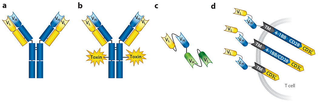 Immune-Based Approaches for the Treatment of Pediatric Malignancies.