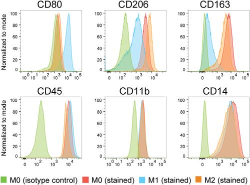 Generation and Functional Characterization of Monocytes and Macrophages Derived from Human Induced Pluripotent Stem Cells