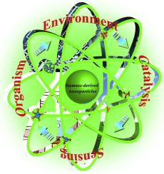 Optical properties of biomass-derived nanomaterials for sensing, catalytic, biomedical and environmental applications