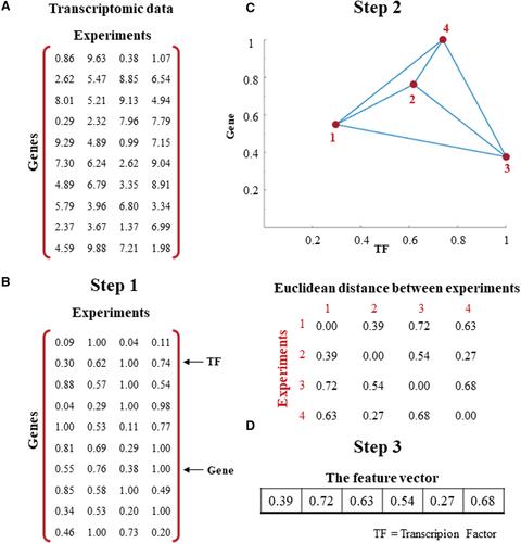 Supervised Learning of Gene Regulatory Networks