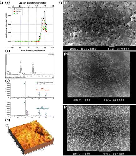 Nano modified zirconia dental implants: Advances and the frontiers for rapid osseointegration