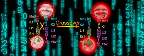 Optimized Multimetal Sensitized Phosphor for Enhanced Red Up-Conversion Luminescence by Machine Learning