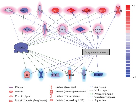 PPARG Drives Molecular Networks as an Inhibitor for the Pathologic Development and Progression of Lung Adenocarcinoma.