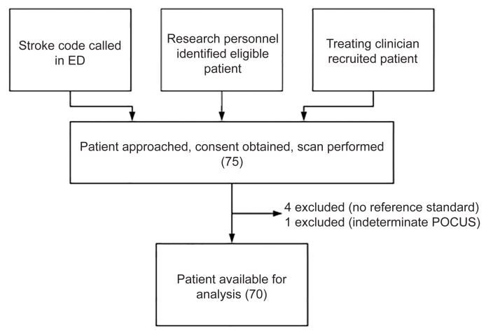 Can Emergency Physicians Perform Carotid Artery Point-of-Care Ultrasound to Detect Stenosis in Patients with TIA and Stroke? A Pilot Study.