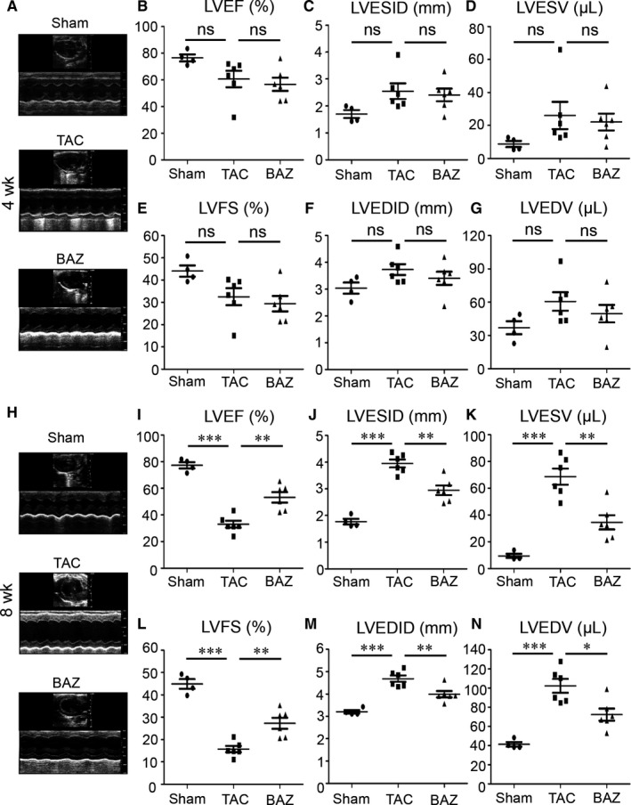 Inhibition of Interleukin-6/glycoprotein 130 signalling by Bazedoxifene ameliorates cardiac remodelling in pressure overload mice.