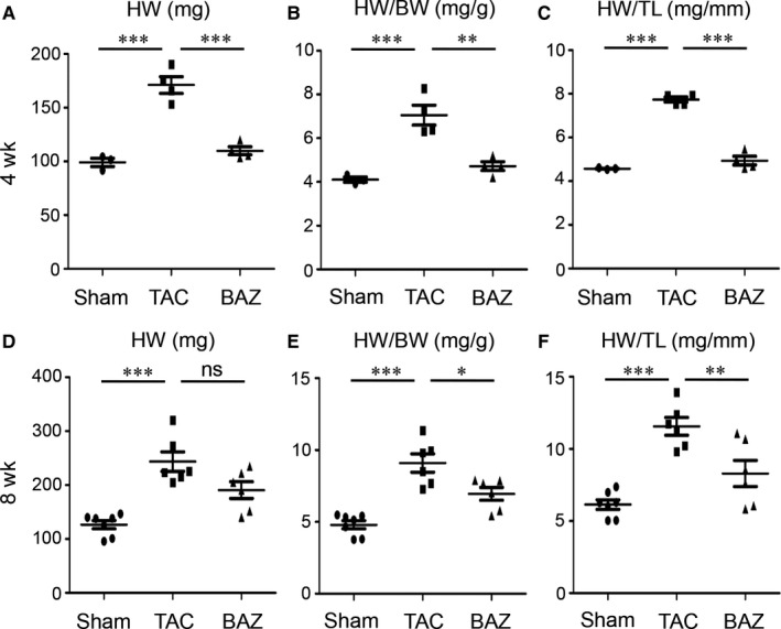 Inhibition of Interleukin-6/glycoprotein 130 signalling by Bazedoxifene ameliorates cardiac remodelling in pressure overload mice.