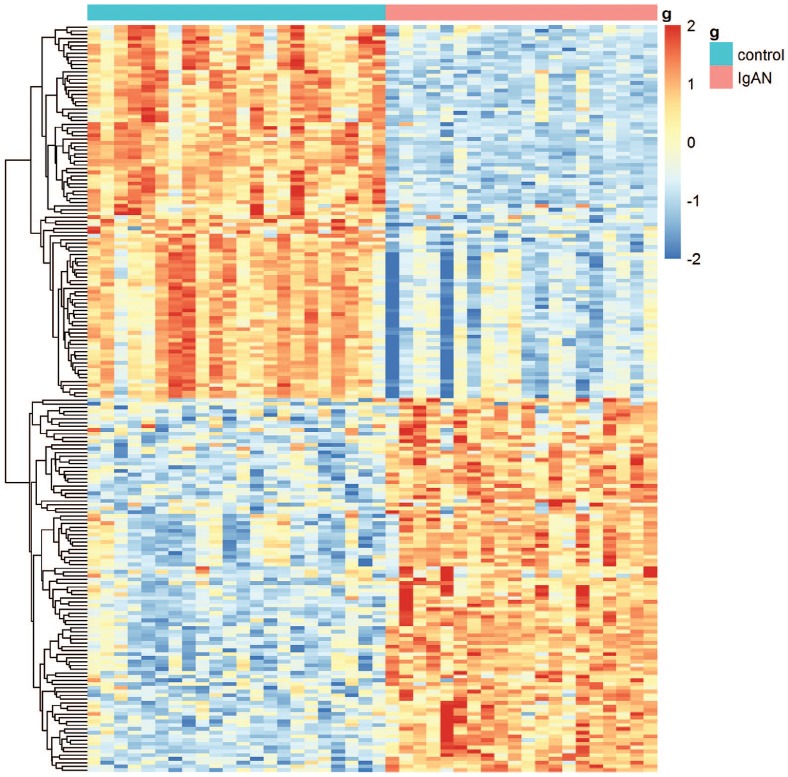 Identification of key genes, pathways and potential therapeutic agents for IgA nephropathy using an integrated bioinformatics analysis.