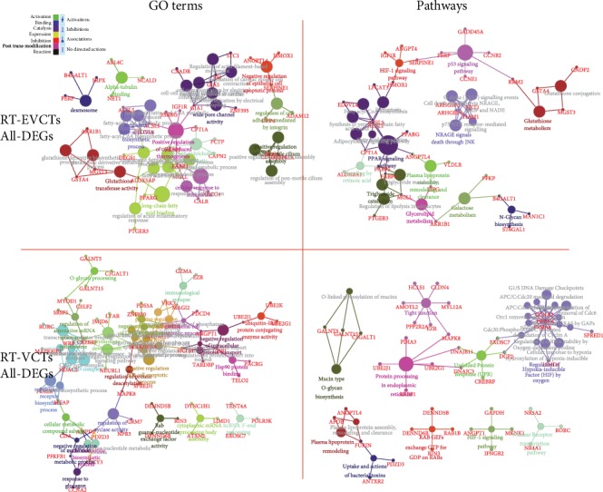 Comparative Study of PPAR<i>γ</i> Targets in Human Extravillous and Villous Cytotrophoblasts.