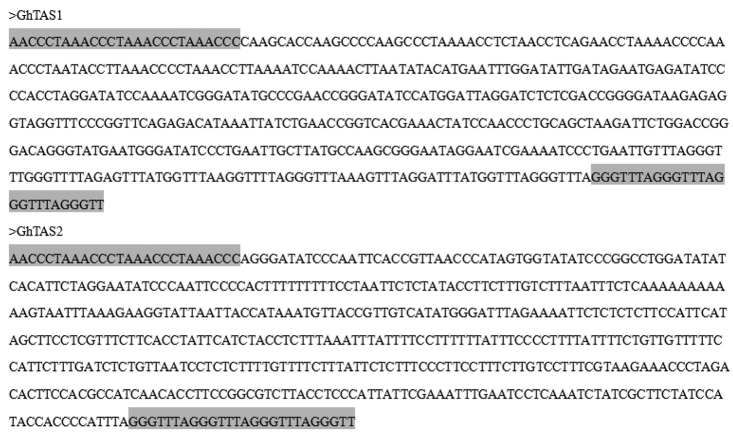 Cloning and preliminary verification of telomere-associated sequences in upland cotton.